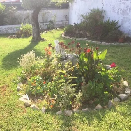 Bed & Breakfast Casa Mimosa *