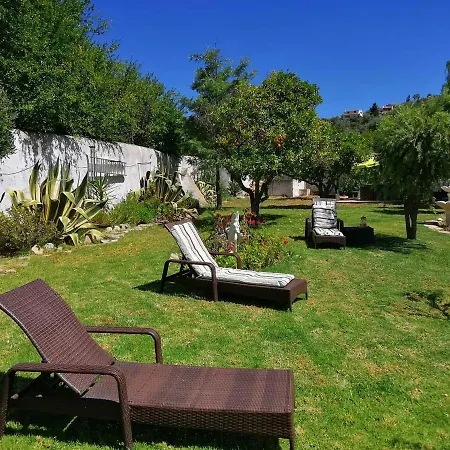 Casa Mimosa 4*