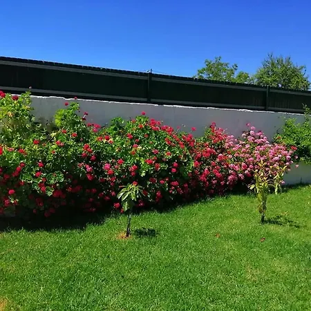 Casa Mimosa Oda ve Kahvaltı São Brás de Alportel